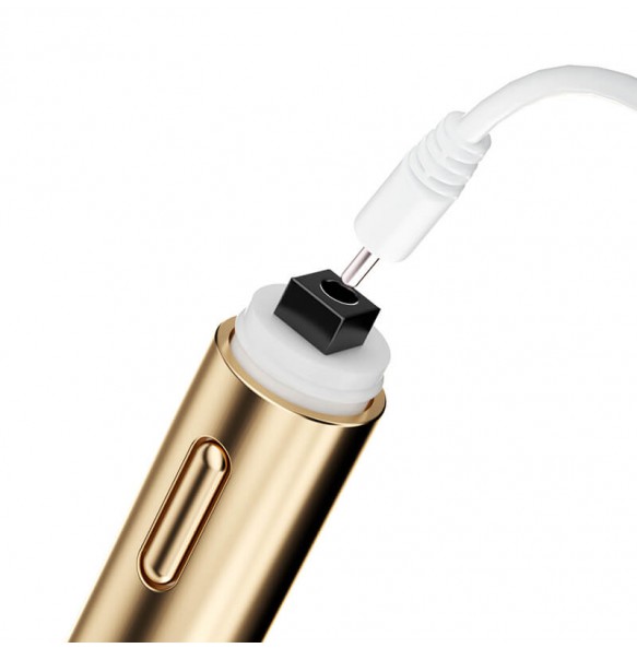 MizzZee - Pleasure Anal Vibrating Wand (Chargeable - Champagne Gold)